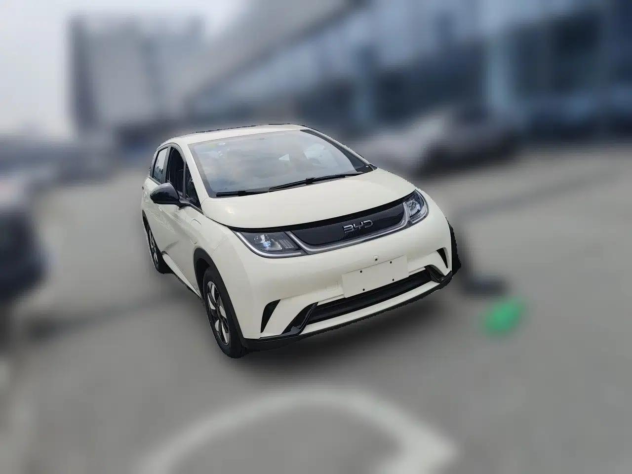 BYD Dolphin 2025 420km Free Edition — миниатюра 3