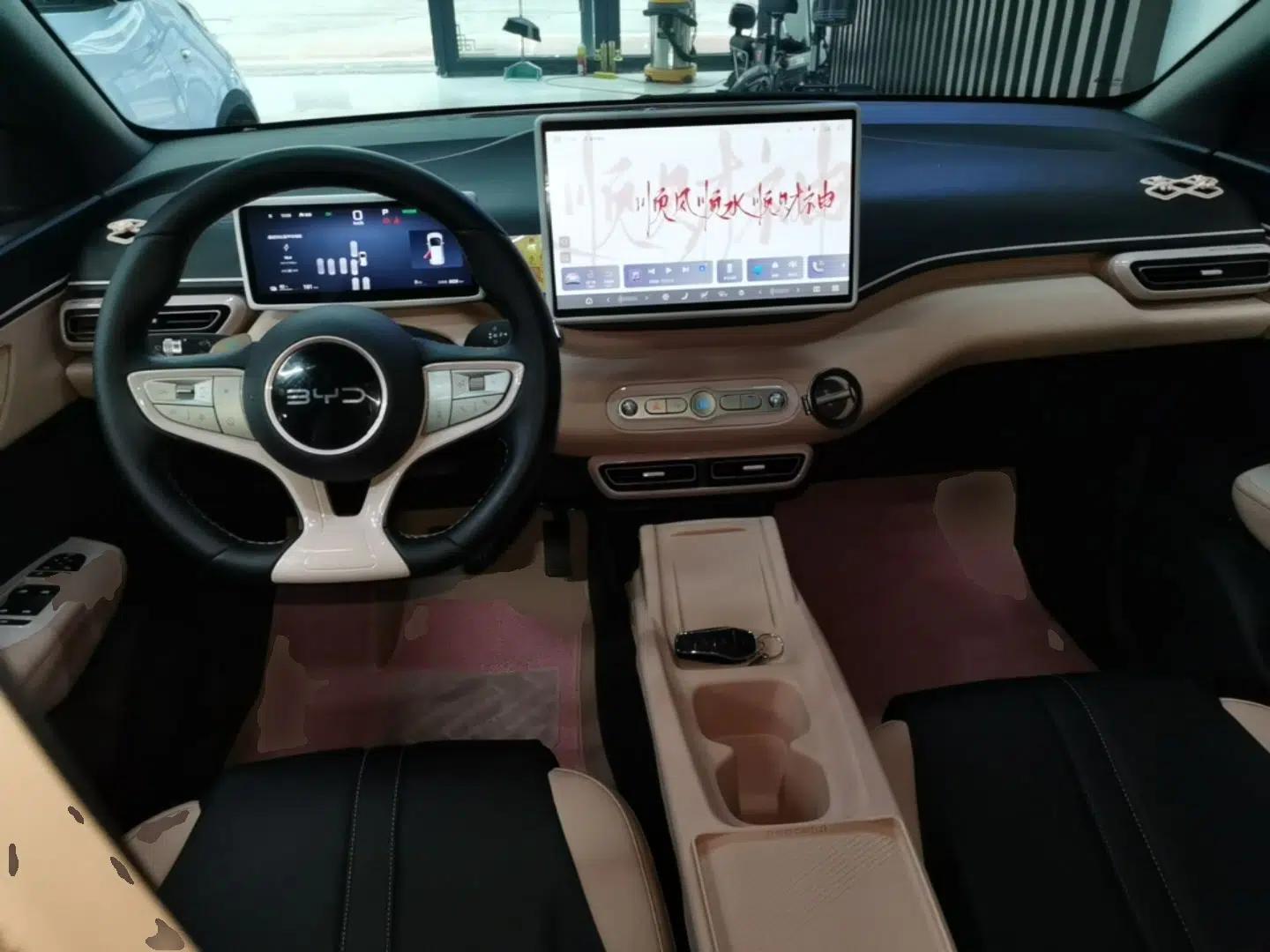 BYD Seagull 2025 Smart Drive Version 305 km Freedom Edition — миниатюра 12