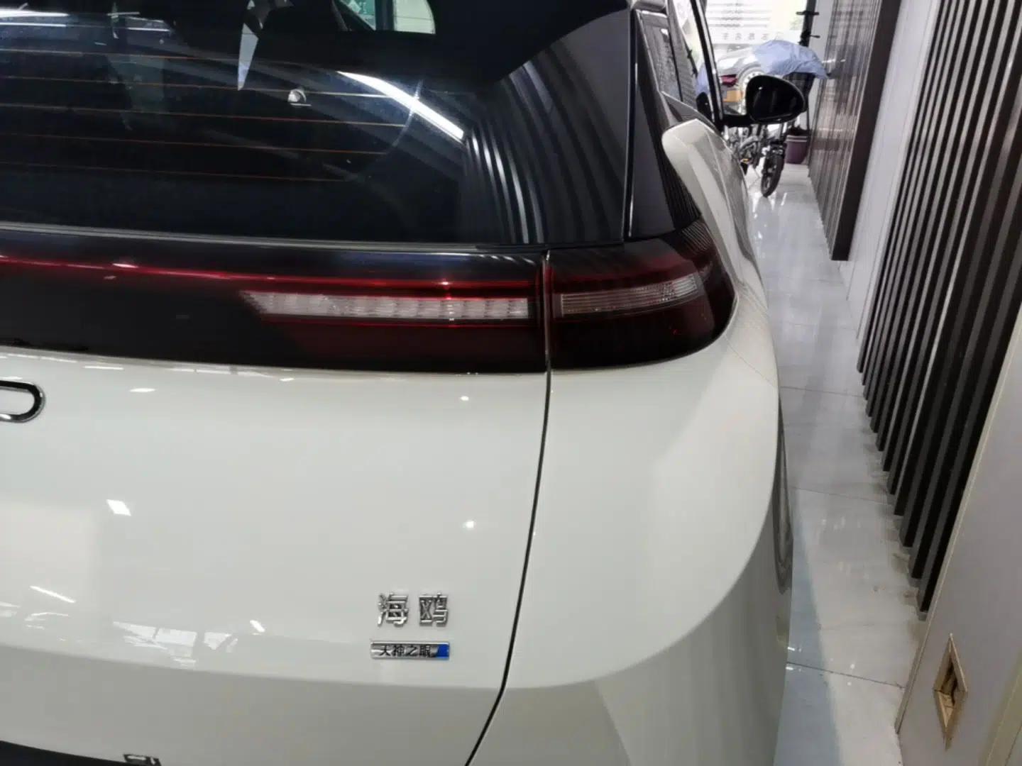 BYD Seagull 2025 Smart Drive Version 305 km Freedom Edition — миниатюра 9