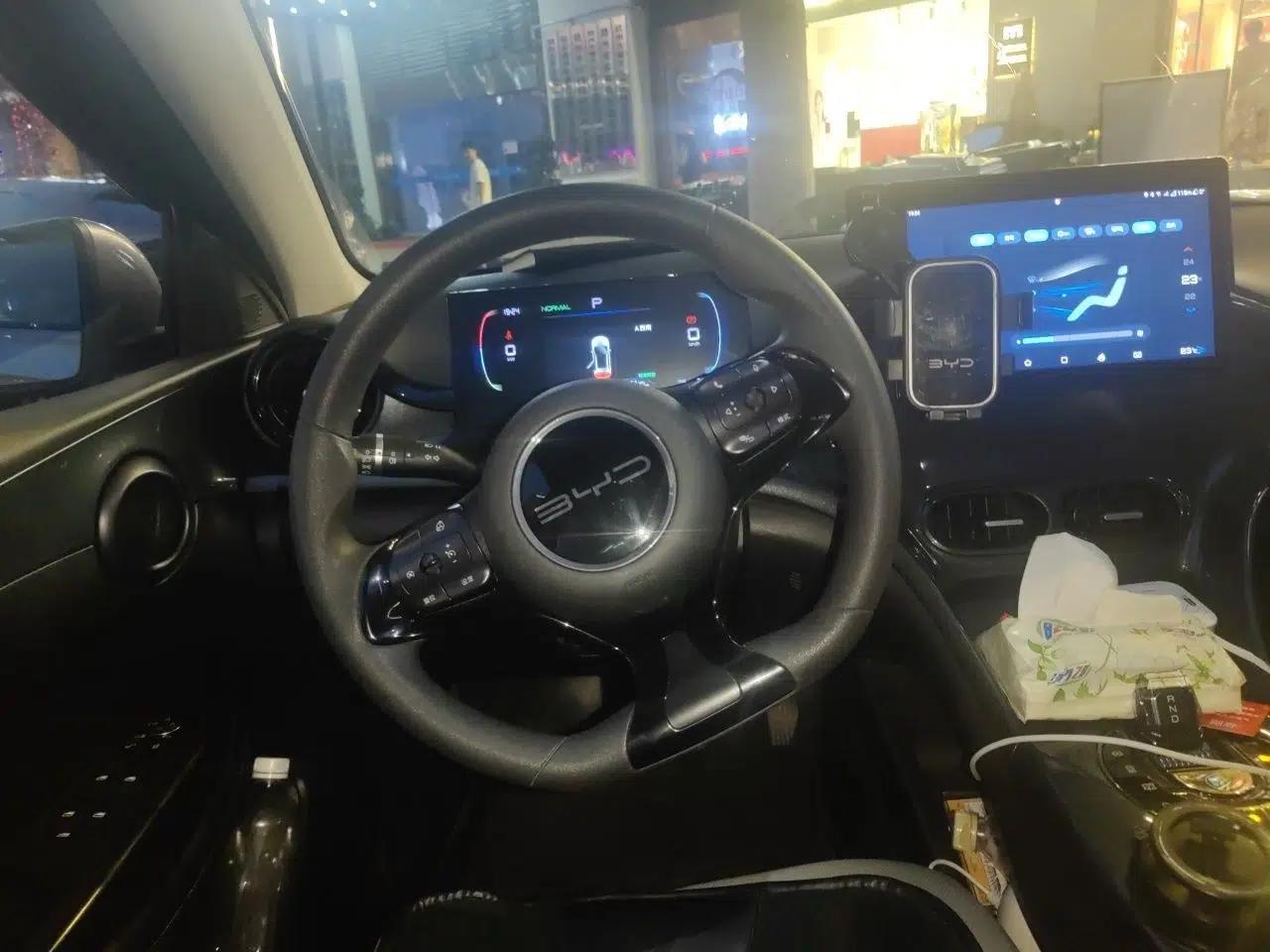 BYD e2 2023 Comfort Model — миниатюра 10
