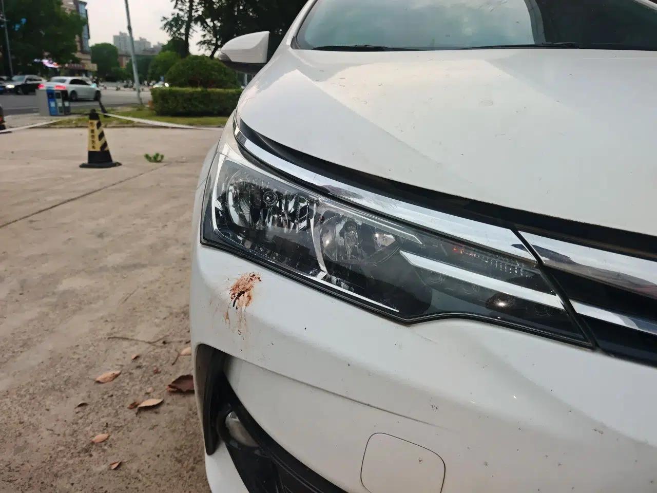 Toyota Corolla 2017 Revised Version 1.2T S-CVT GL — миниатюра 7