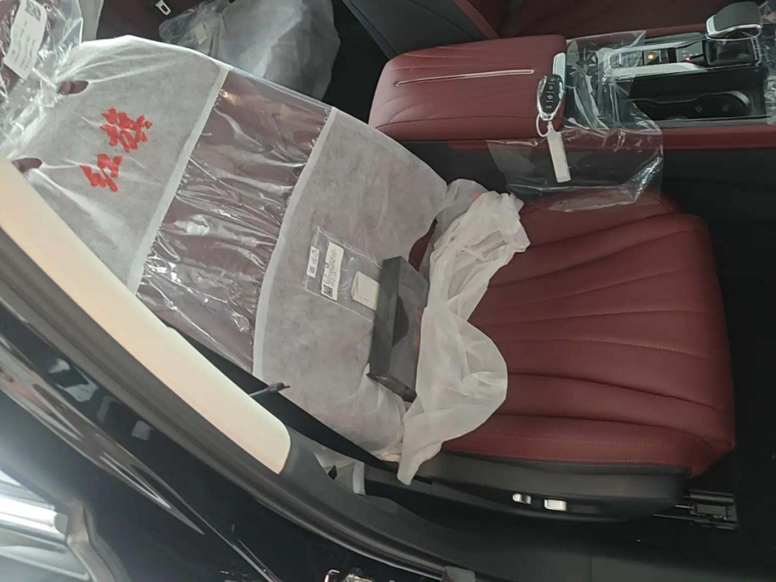 Hongqi H5 2025 2.0T Automatic Flag Edition – 500 000 Units Commemorative Version — миниатюра 24