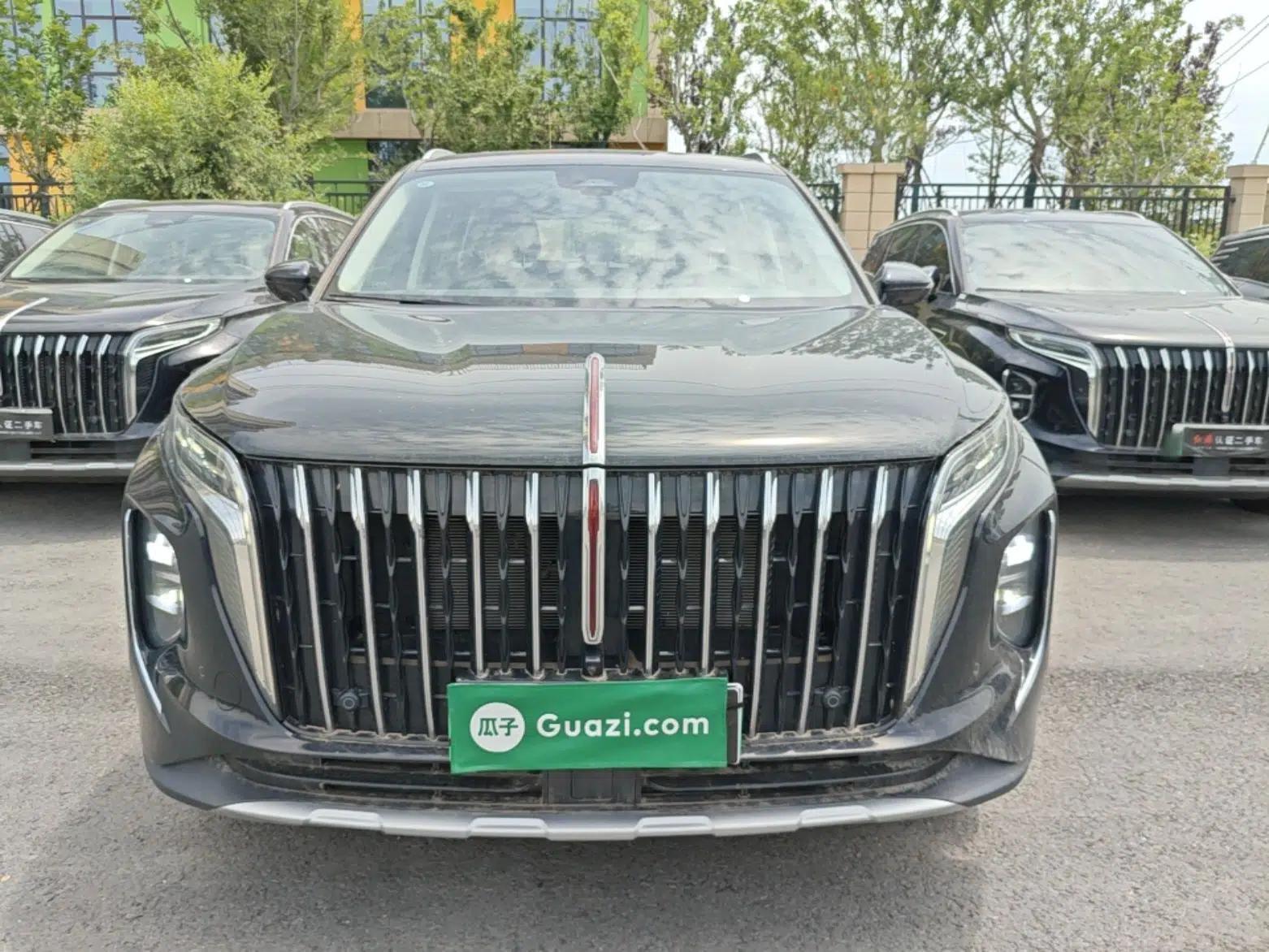 Hongqi HS7 PHEV 2024 2.0T PHEV Four-Wheel Drive Flagship Edition 7 Seats — миниатюра 2