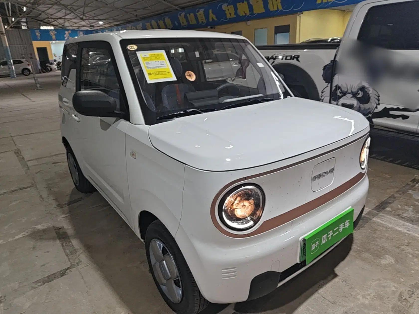 Geely Galaxy Panda 2024 Panda Mini 200km Endurance Bear — миниатюра 3