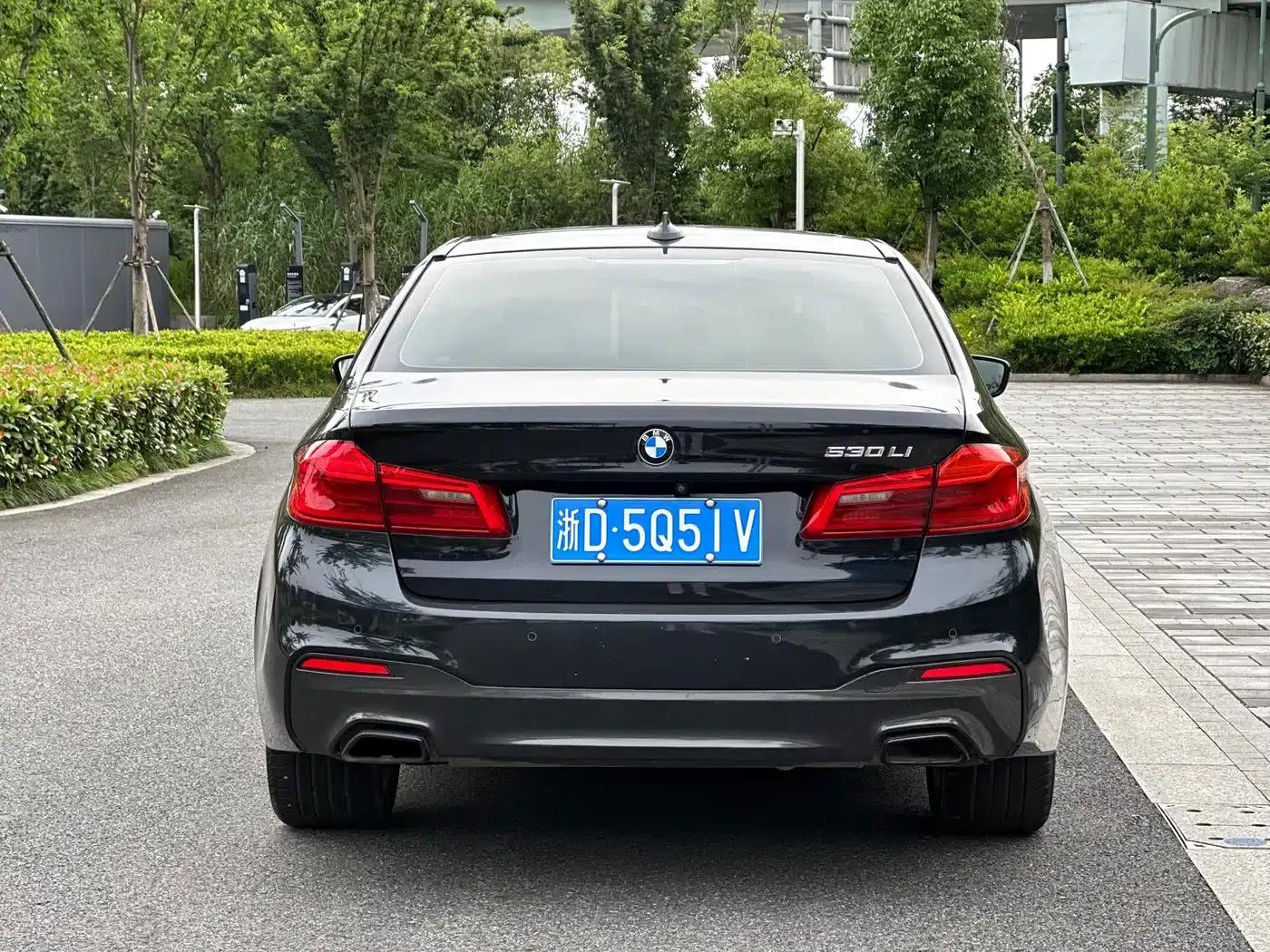 2019 BMW 5 Series 530Li Leading Edition M Sport Package — миниатюра 5