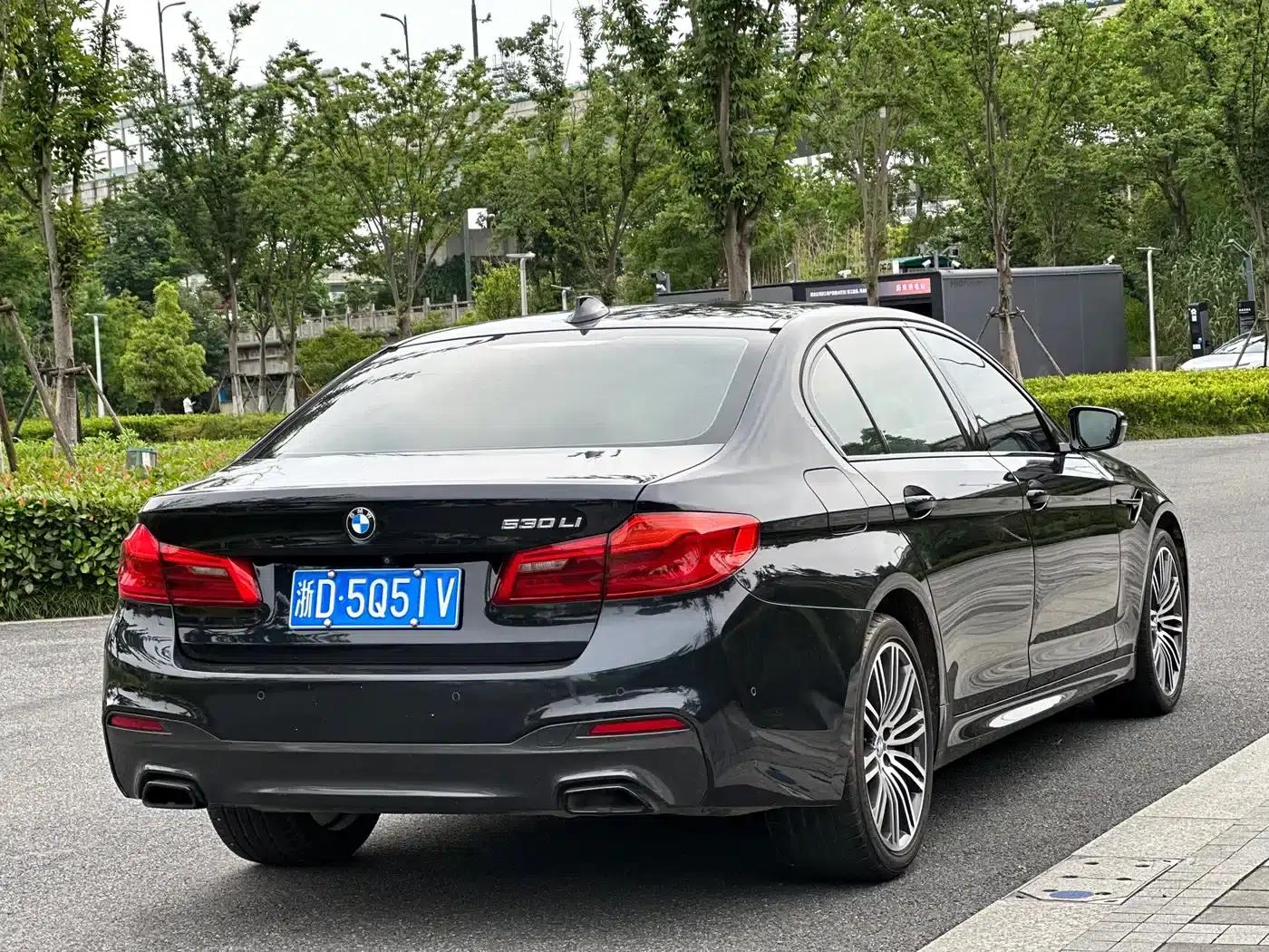 2019 BMW 5 Series 530Li Leading Edition M Sport Package — миниатюра 6