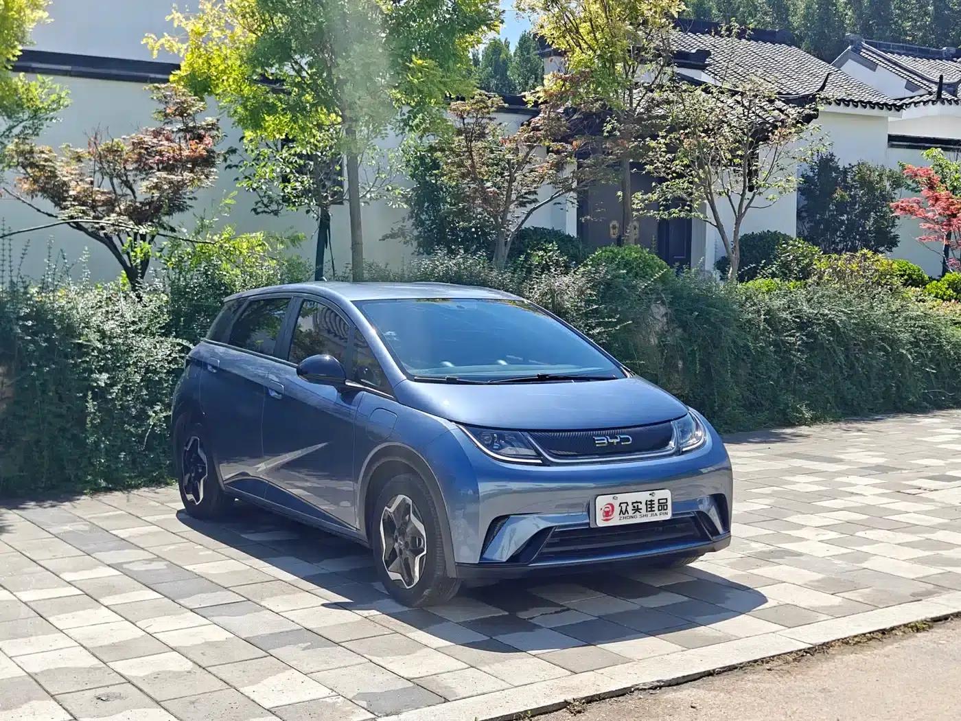Dolphin 2025 420km Vitality Edition — миниатюра 3