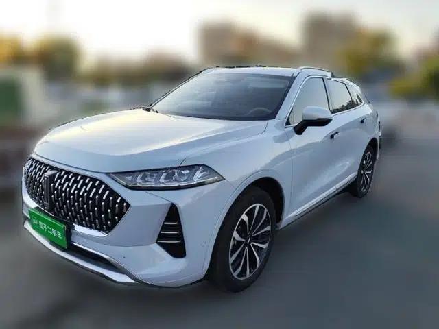 Wey Mocha 2021 2.0T Two-Wheel-Drive Premium Edition