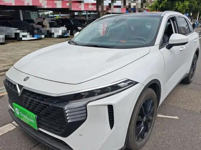 Venucia V 2021 260T Tianwang Edition