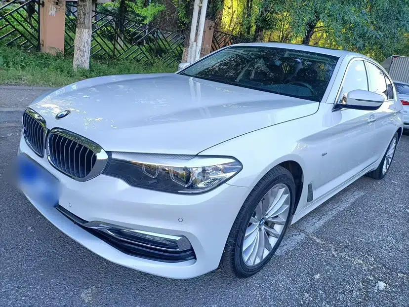 BMW 5 Series 2018 Facelifted 530Li xDrive Luxury Package — миниатюра 1
