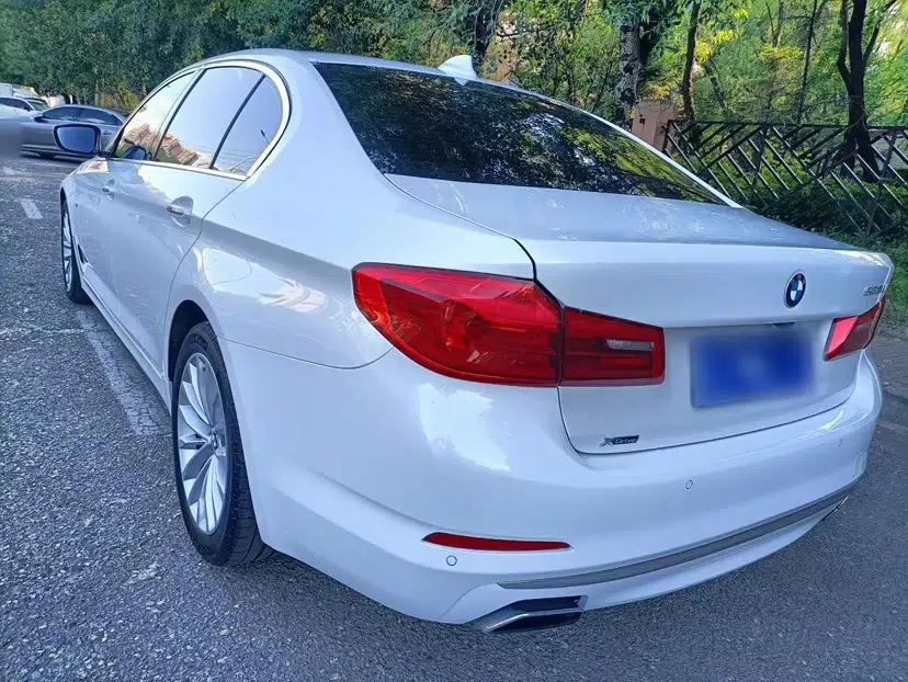 BMW 5 Series 2018 Facelifted 530Li xDrive Luxury Package — миниатюра 3