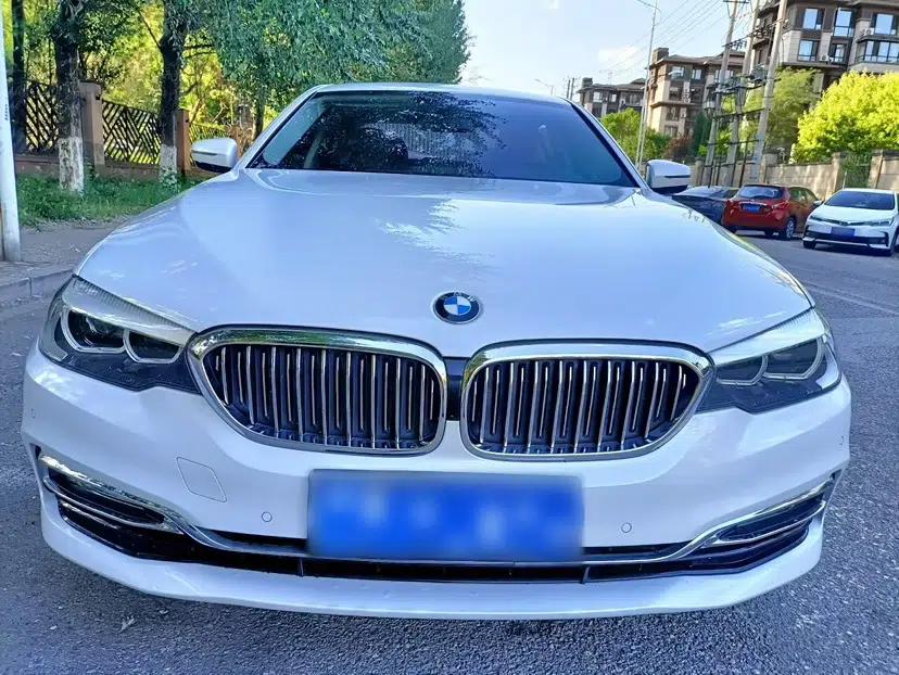 BMW 5 Series 2018 Facelifted 530Li xDrive Luxury Package — миниатюра 5