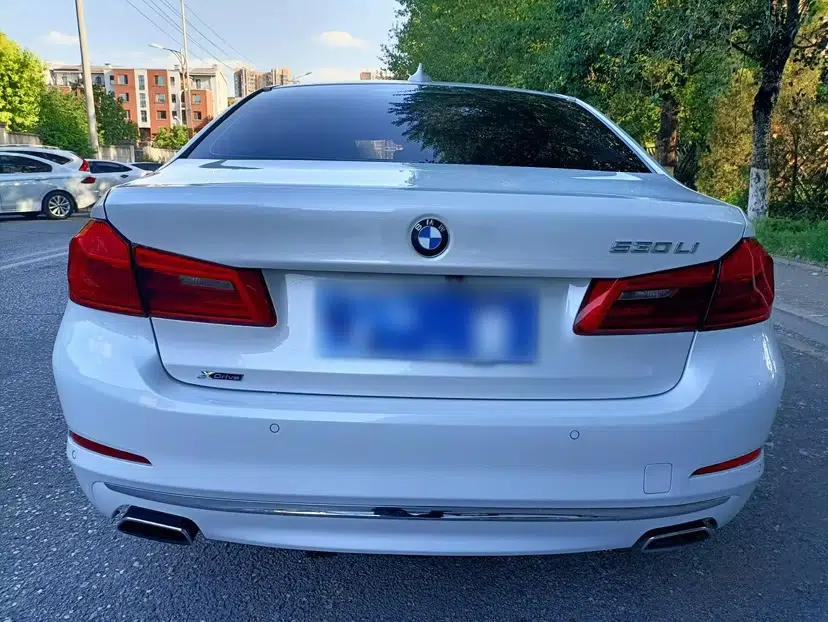 BMW 5 Series 2018 Facelifted 530Li xDrive Luxury Package — миниатюра 6