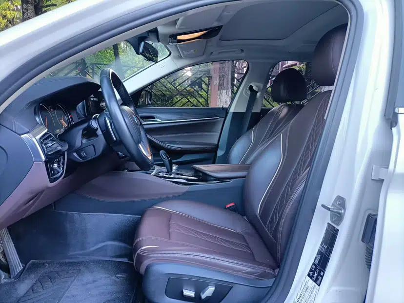 BMW 5 Series 2018 Facelifted 530Li xDrive Luxury Package — миниатюра 9