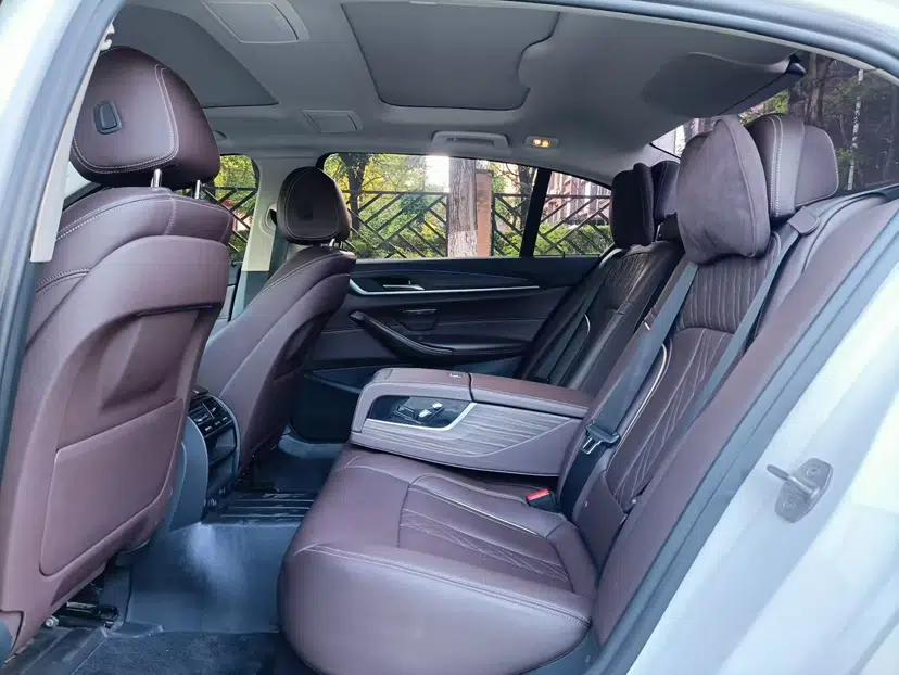 BMW 5 Series 2018 Facelifted 530Li xDrive Luxury Package — миниатюра 10