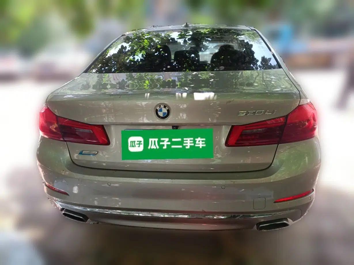 BMW 5 Series 2020 530Li Leading Edition Luxury Package — миниатюра 5