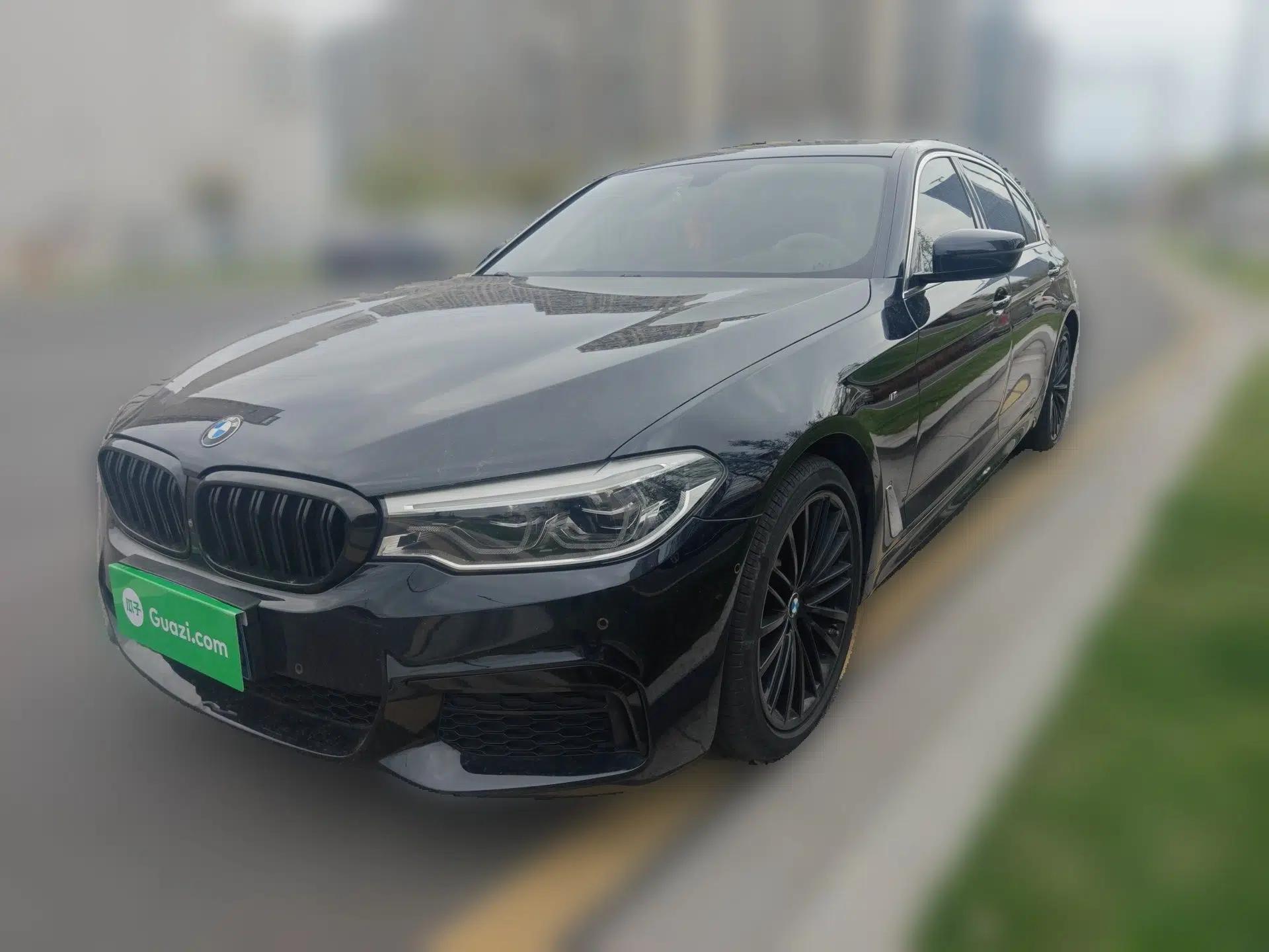 BMW 5 Series 2020 530Li Luxury Edition M Sport Package — миниатюра 1
