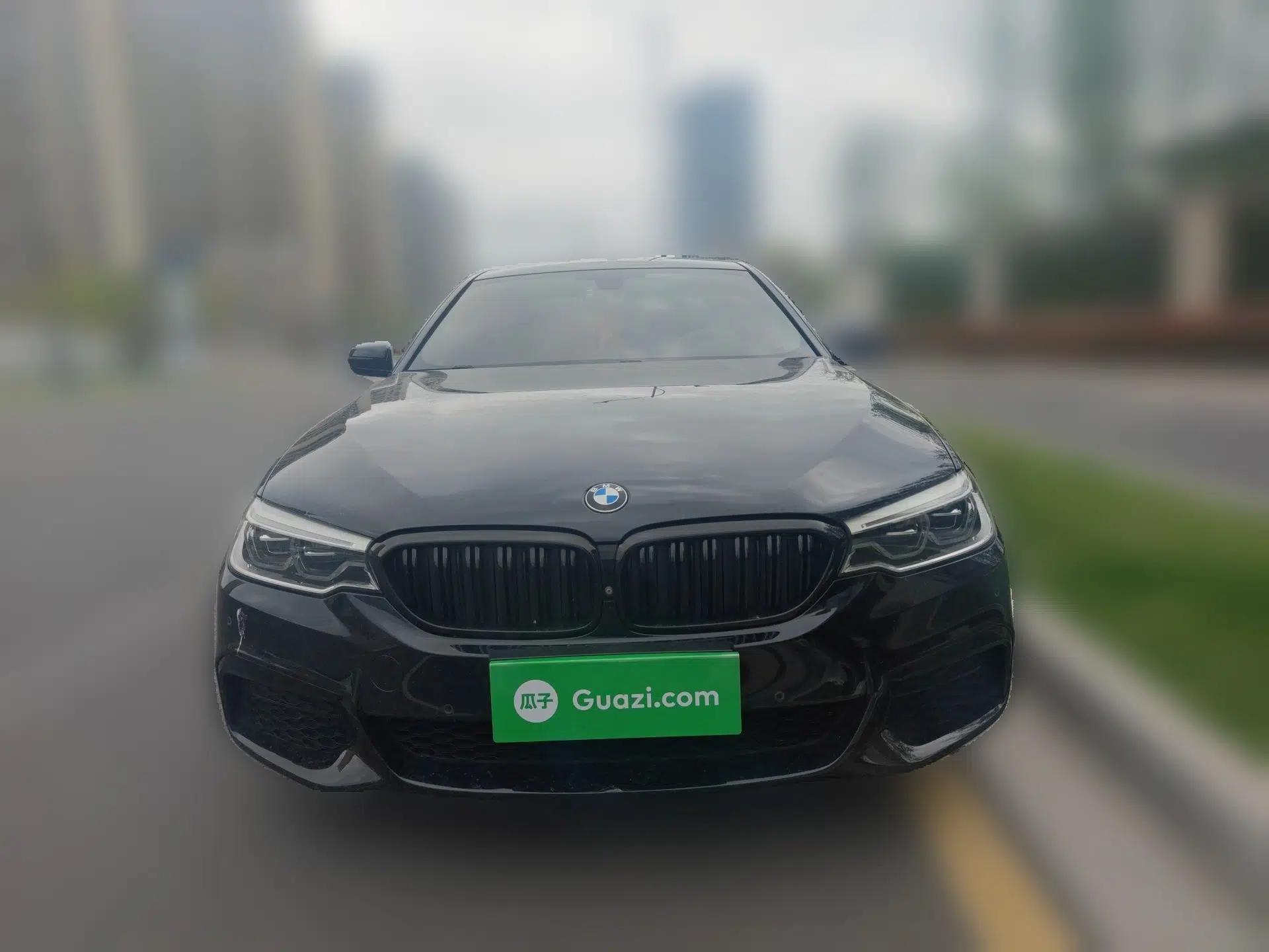 BMW 5 Series 2020 530Li Luxury Edition M Sport Package — миниатюра 2