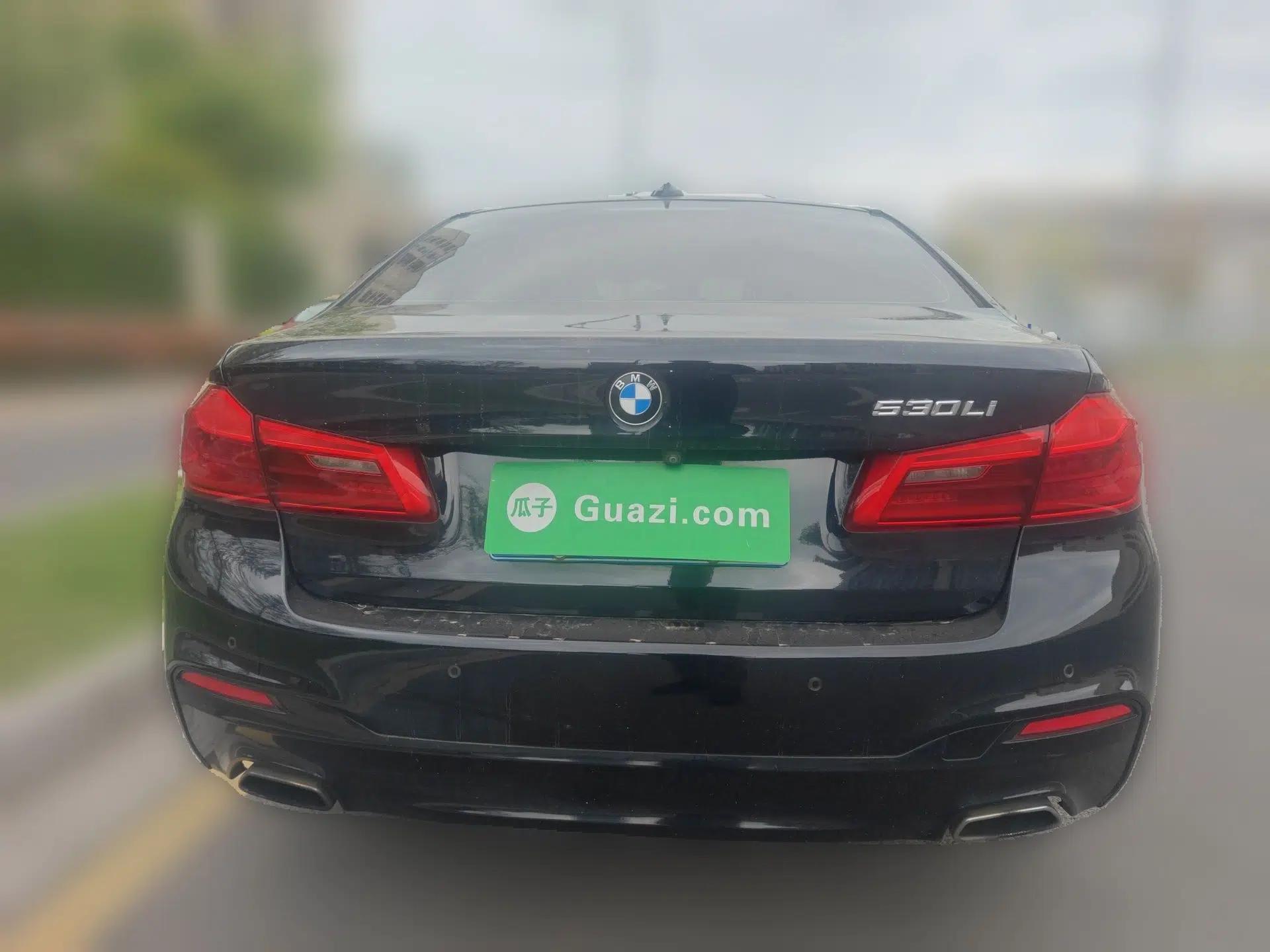 BMW 5 Series 2020 530Li Luxury Edition M Sport Package — миниатюра 5