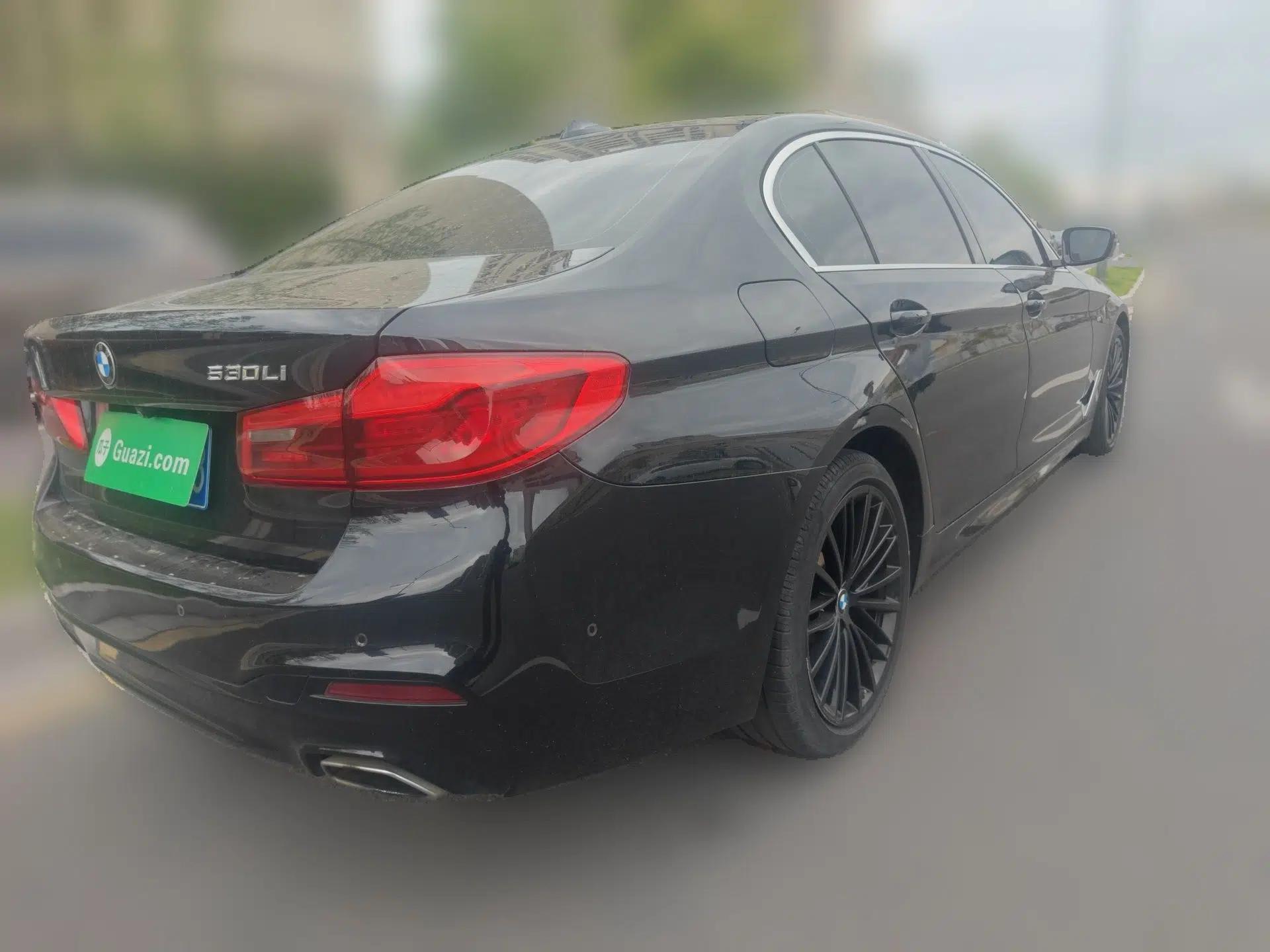 BMW 5 Series 2020 530Li Luxury Edition M Sport Package — миниатюра 6
