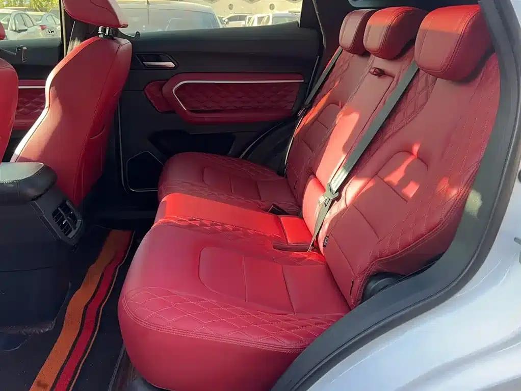 Haval H6 2020 1.5GDIT Automatic Platinum Champion Edition — миниатюра 9