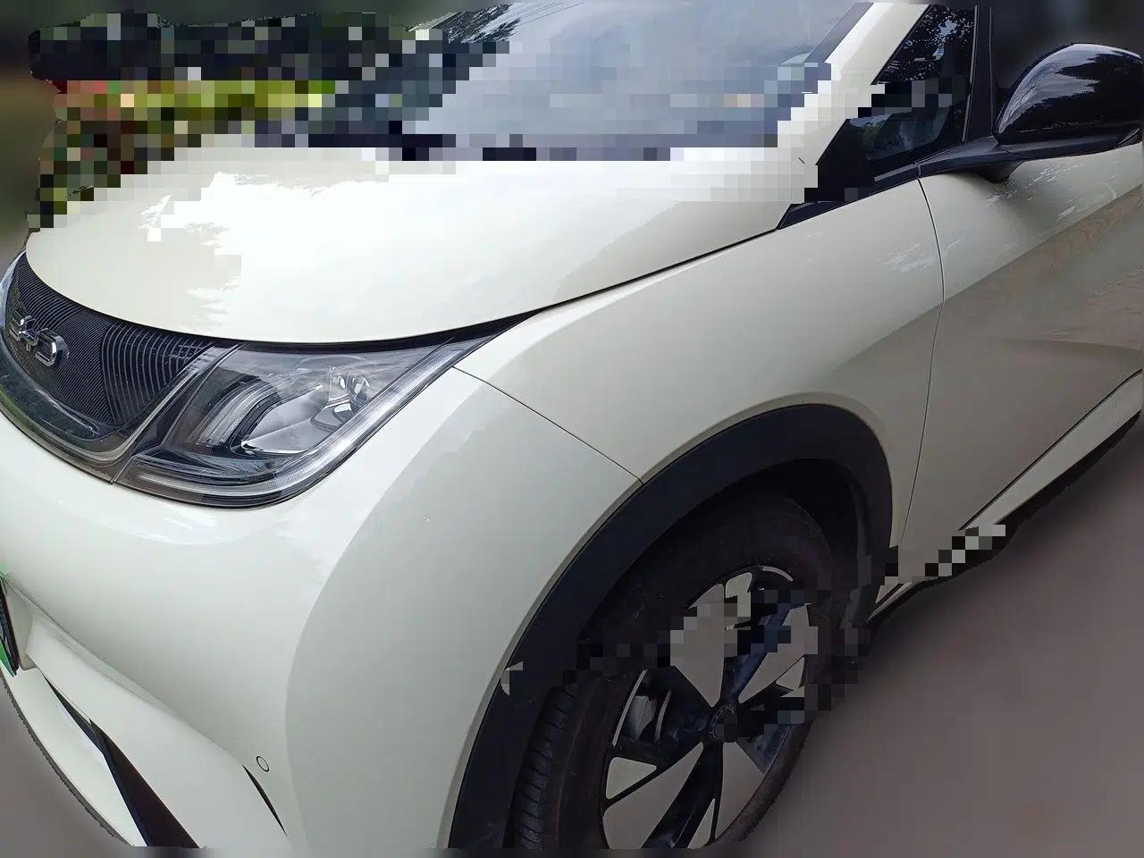 BYD Dolphin 2023 420 km Fashion Edition — миниатюра 1