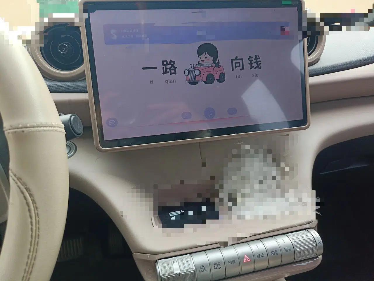 BYD Dolphin 2023 420 km Fashion Edition — миниатюра 13
