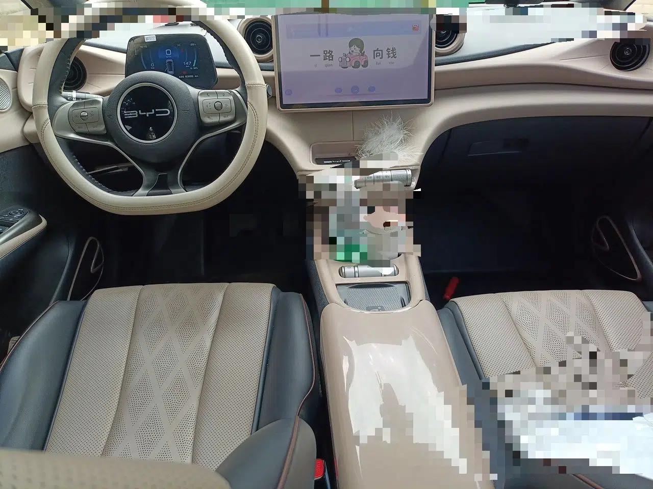 BYD Dolphin 2023 420 km Fashion Edition — миниатюра 9