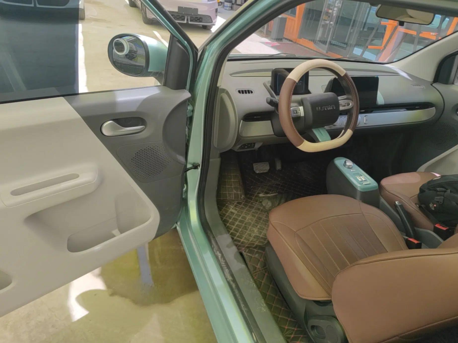 CHANGAN NEVO Lumin 2022 155 km – Refreshingly Sweet Edition — миниатюра 18