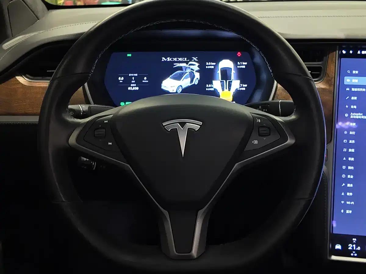 Model X 2019 Long Range — миниатюра 14
