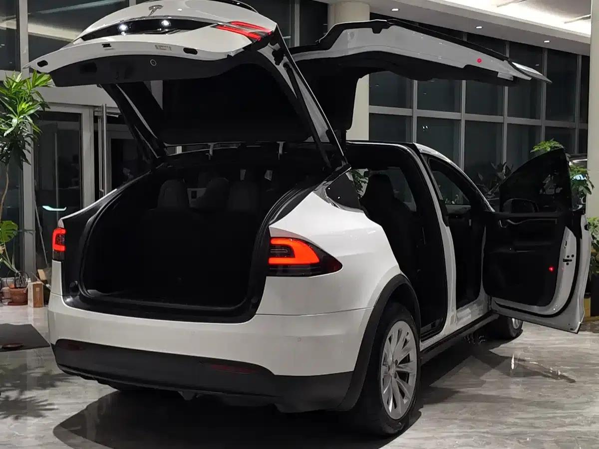 Model X 2019 Long Range — миниатюра 4