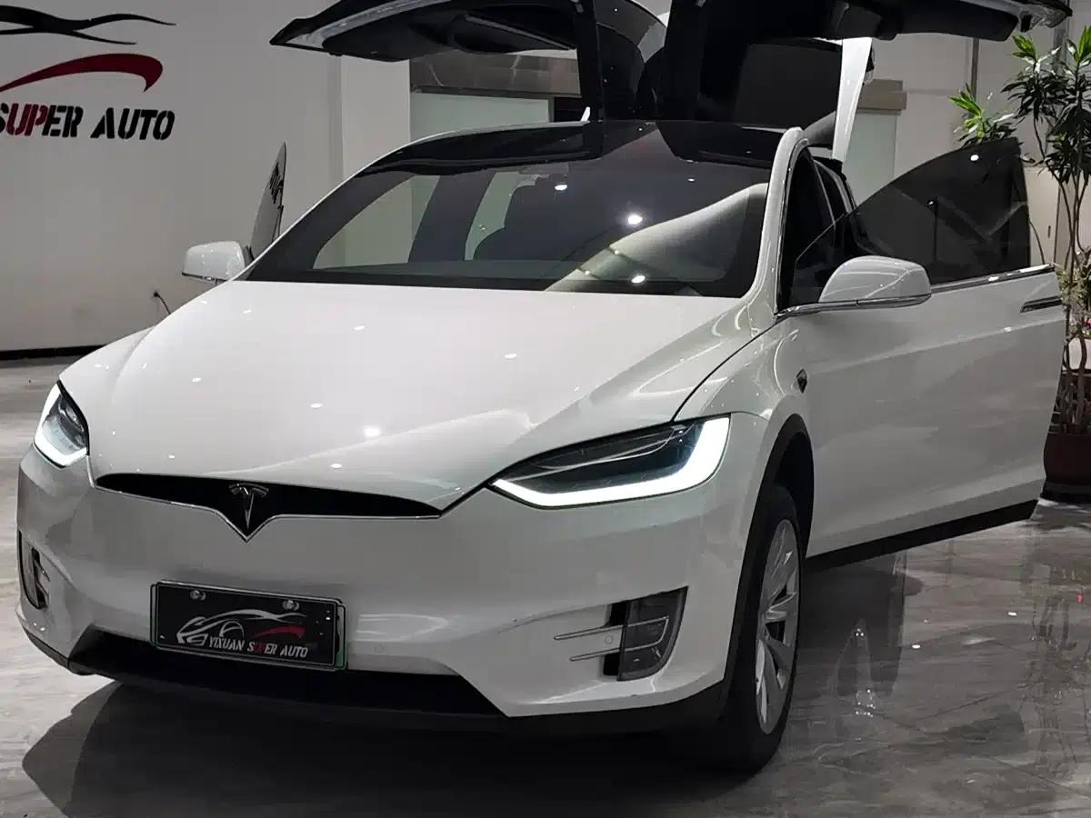 Model X 2019 Long Range — миниатюра 5