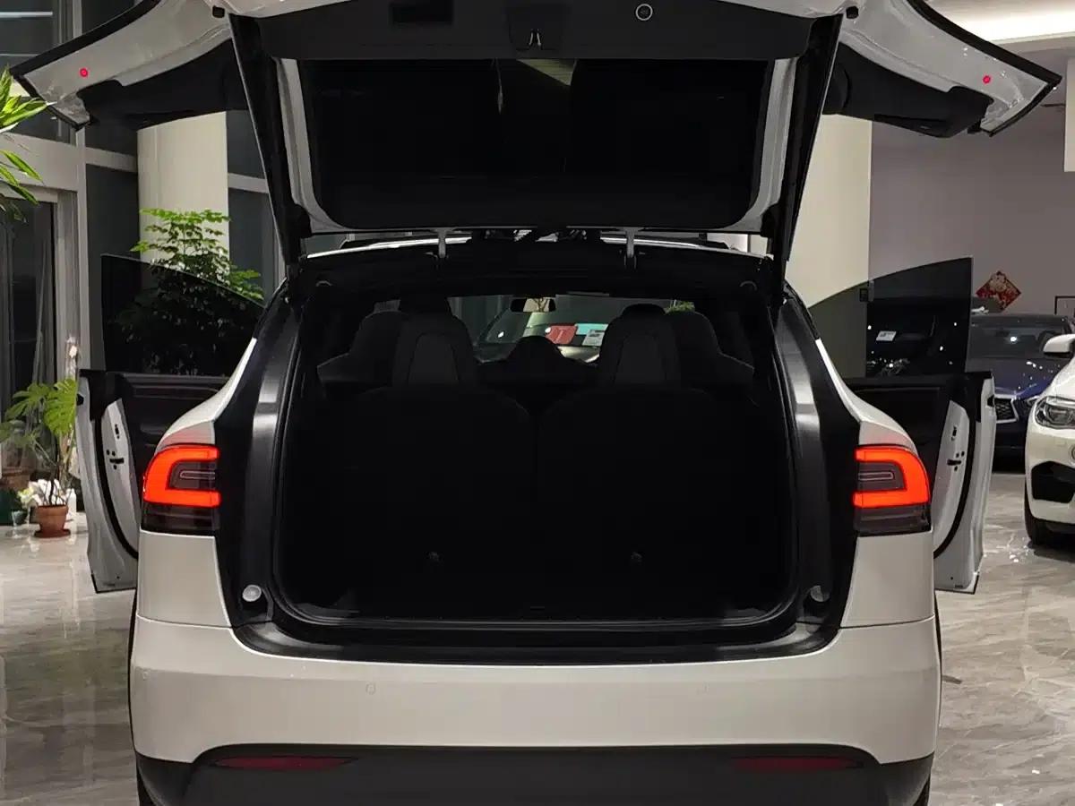 Model X 2019 Long Range — миниатюра 6