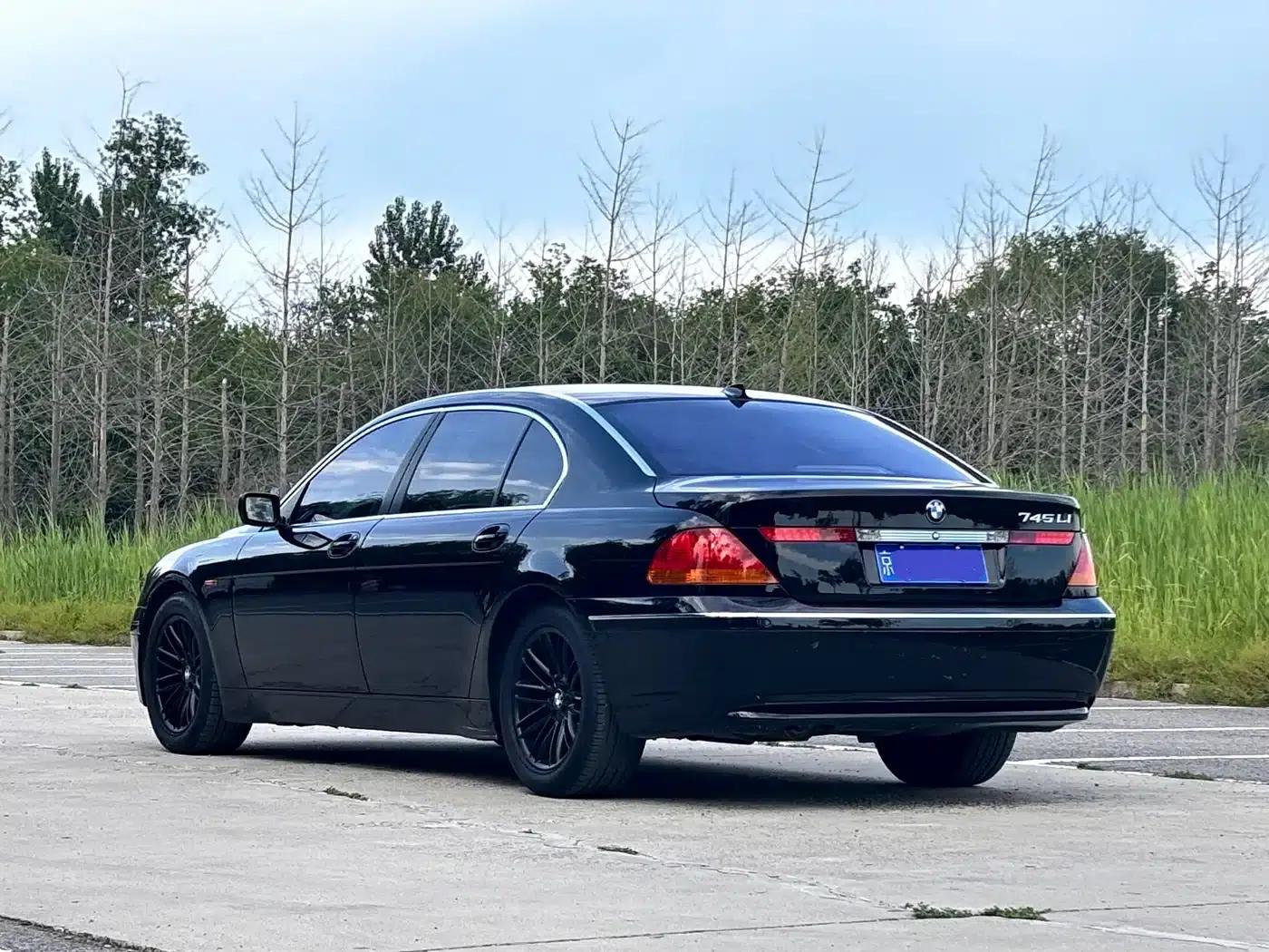 BMW 7 Series 2002 745i — миниатюра 3