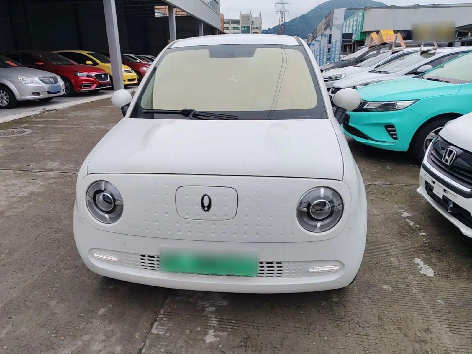 ORA Black Cat 2022 351 km Standard Version Ternary Lithium — миниатюра 2