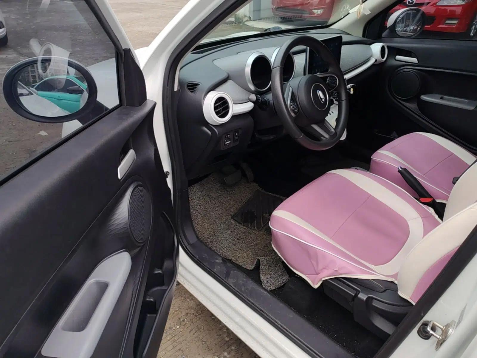 ORA Black Cat 2022 351 km Standard Version Ternary Lithium — миниатюра 18
