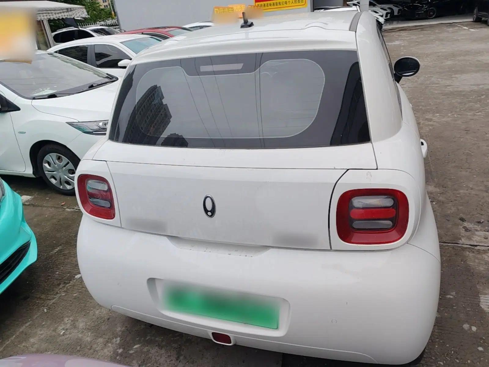 ORA Black Cat 2022 351 km Standard Version Ternary Lithium — миниатюра 5