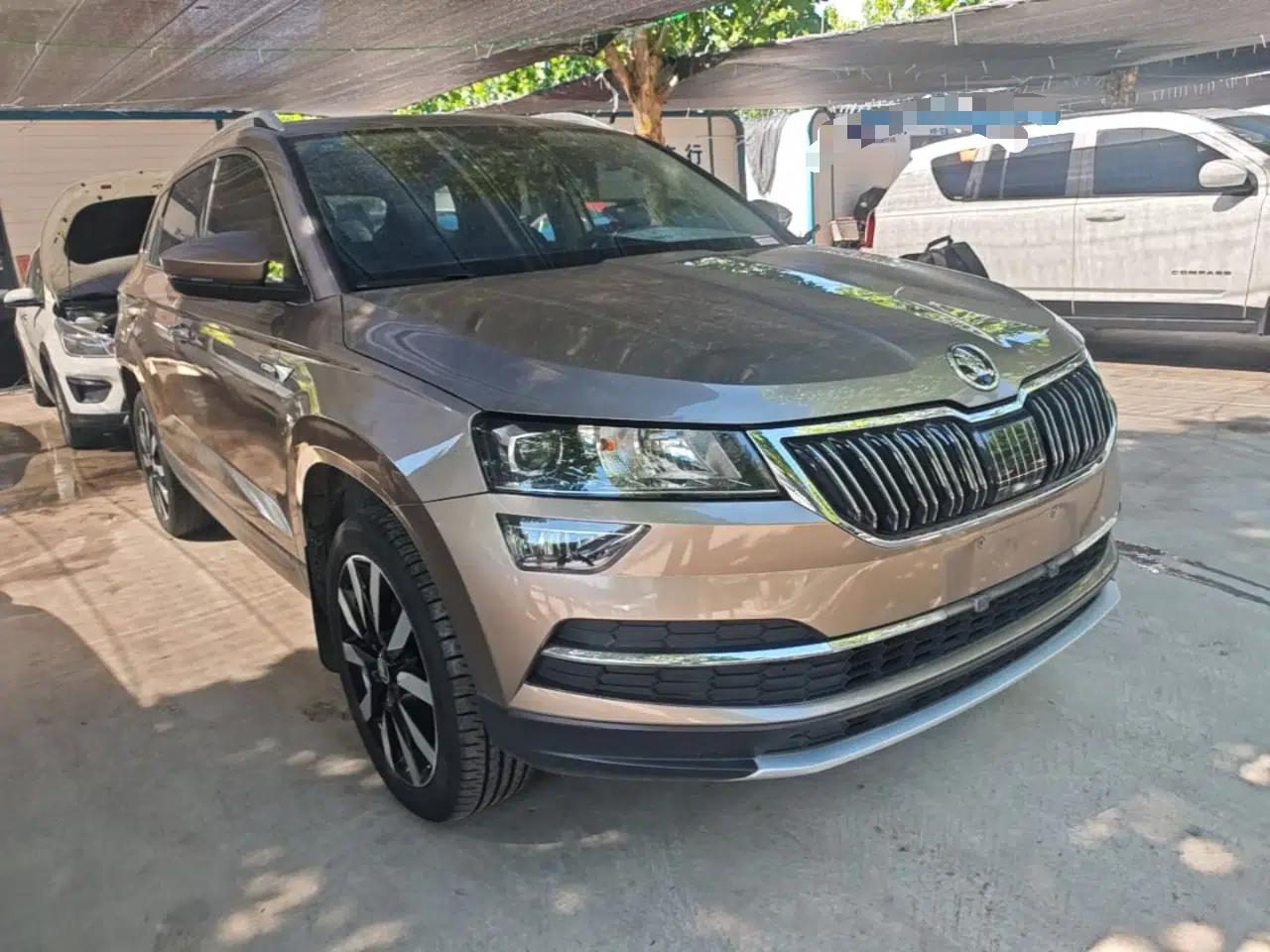 Skoda Karoq 2018 TSI280 Luxury Edition China V Standard — миниатюра 3