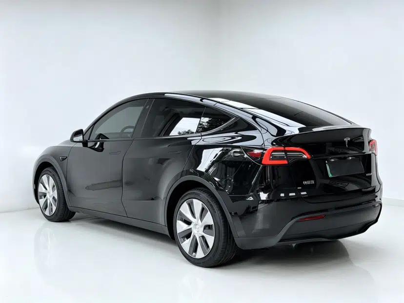 Tesla Model Y 2021 Standard Range Rear-Wheel Drive Version — миниатюра 3