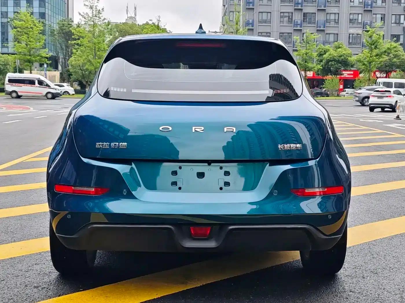 ORA Good Cat 2022 Morandi Edition, 400km Standard Range, Luxury Model, Lithium Iron Phosphate — миниатюра 4