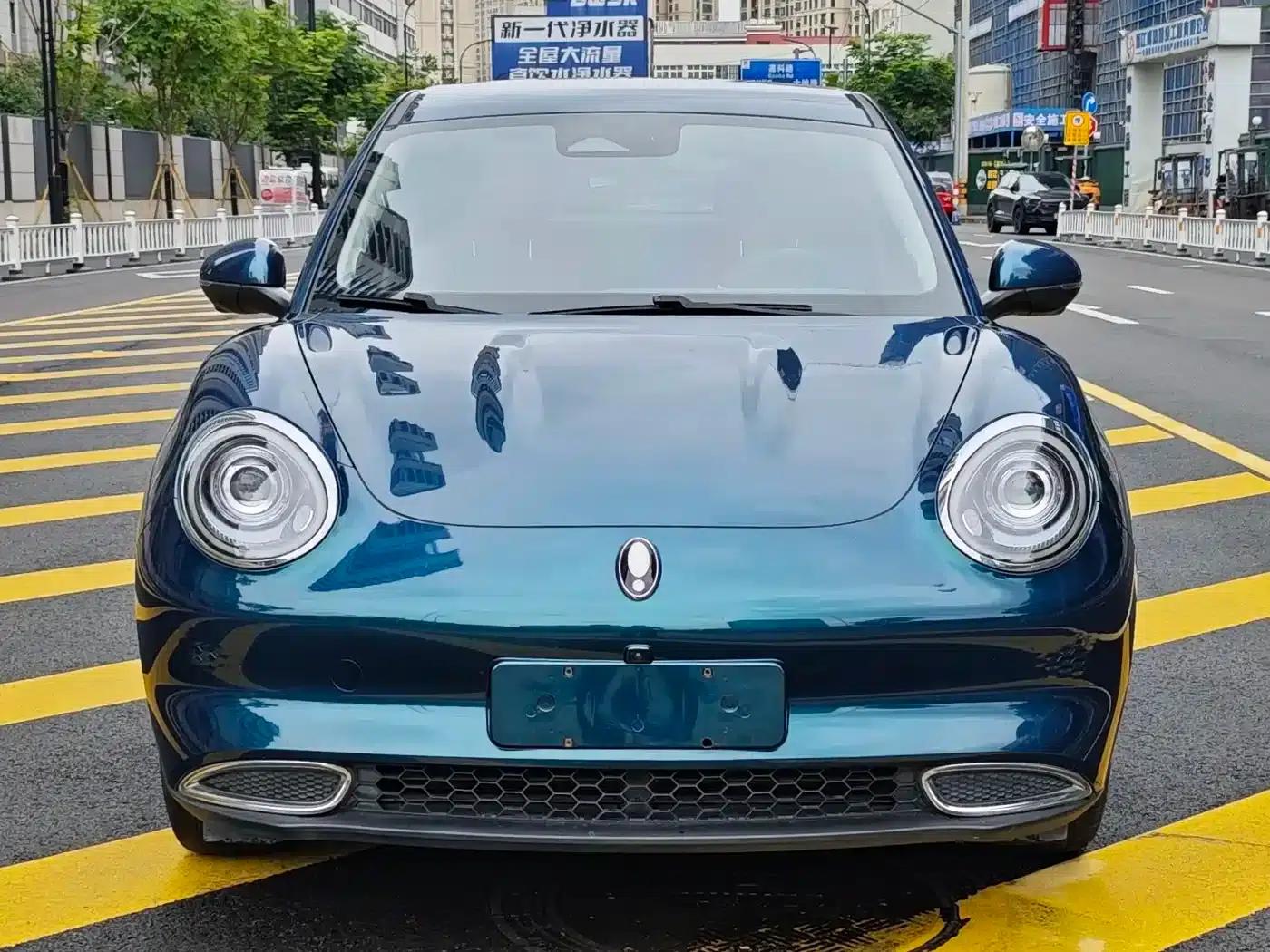 ORA Good Cat 2022 Morandi Edition, 400km Standard Range, Luxury Model, Lithium Iron Phosphate — миниатюра 8