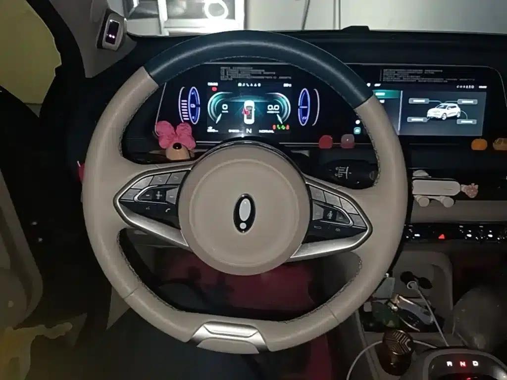 ORA Good Cat 2022 Morandi Edition, 400km Standard Range, Luxury Model, Ternary Lithium Lithium Battery — миниатюра 11
