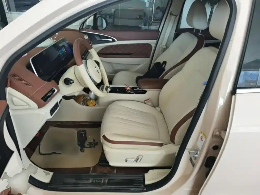 ORA Good Cat 2021 Model, 400km Standard Range, Athena Edition, Lithium Iron Phosphate — миниатюра 15