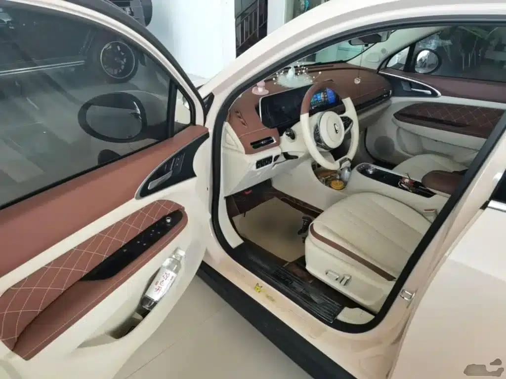 ORA Good Cat 2021 Model, 400km Standard Range, Athena Edition, Lithium Iron Phosphate — миниатюра 16