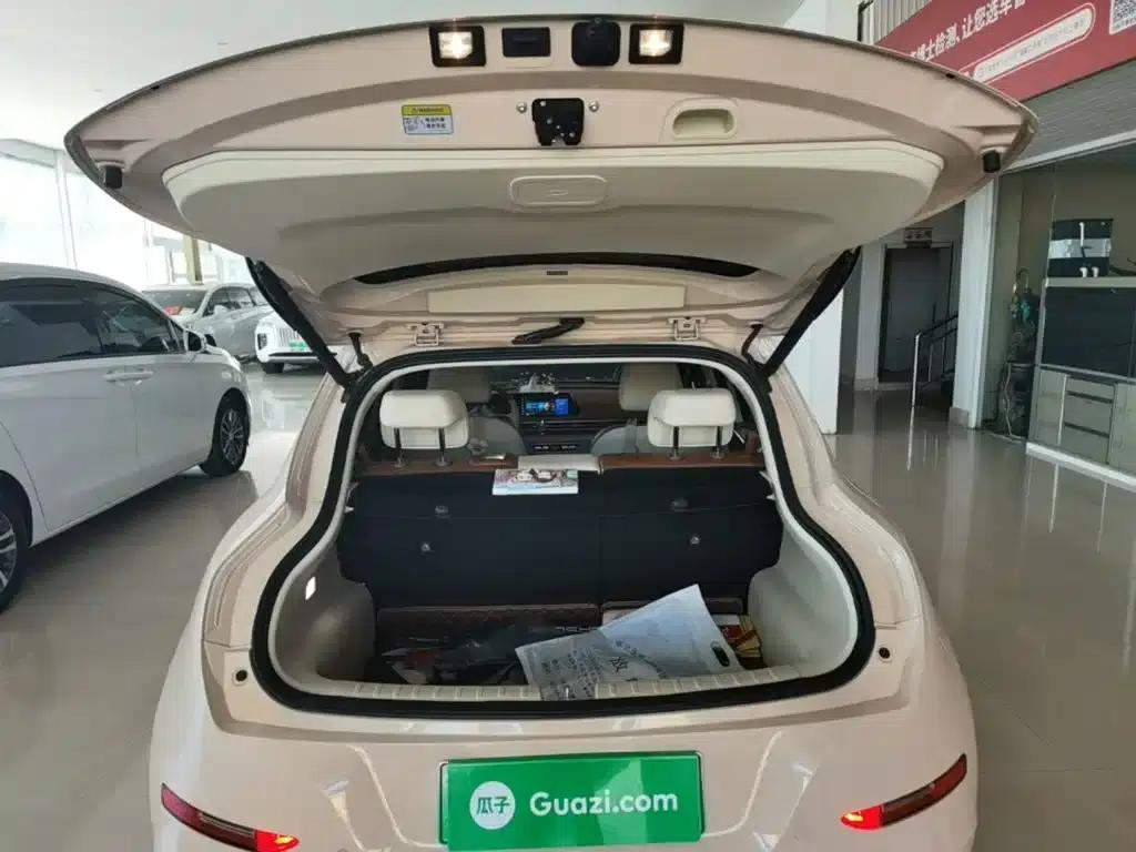 ORA Good Cat 2021 Model, 400km Standard Range, Athena Edition, Lithium Iron Phosphate — миниатюра 19