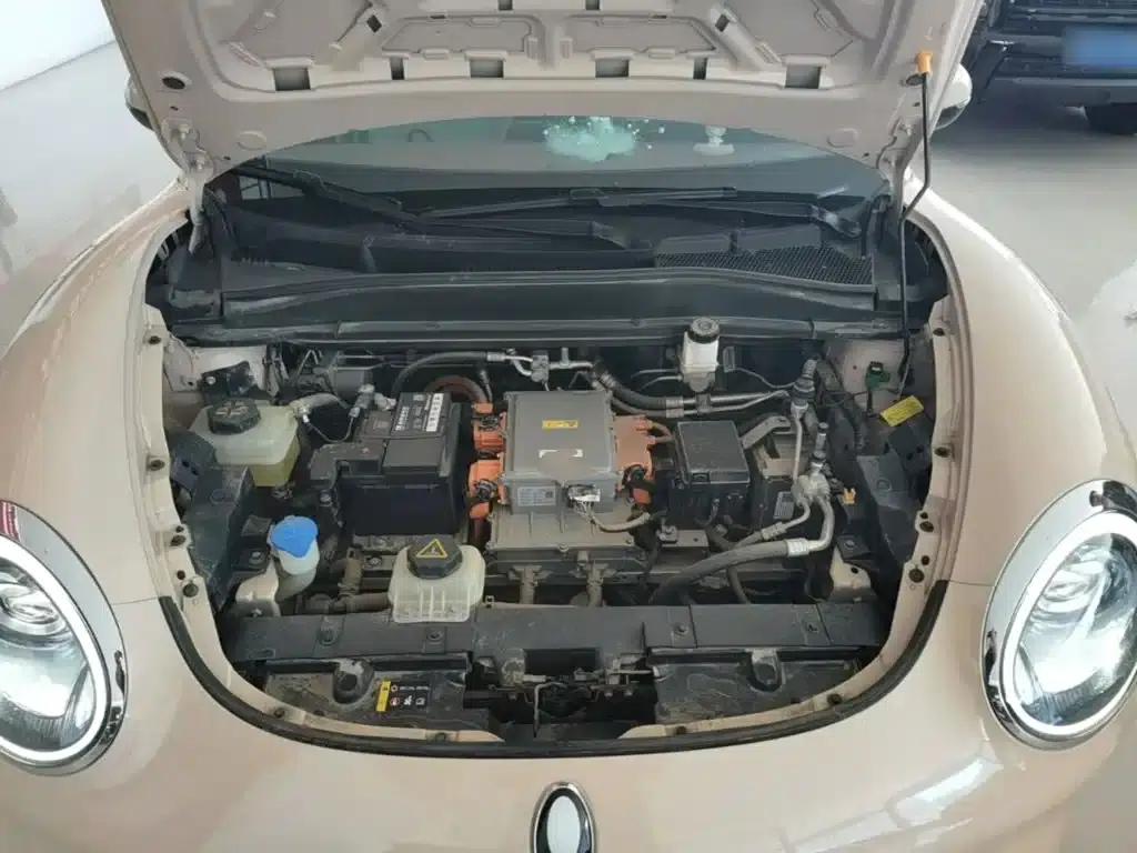 ORA Good Cat 2021 Model, 400km Standard Range, Athena Edition, Lithium Iron Phosphate — миниатюра 20