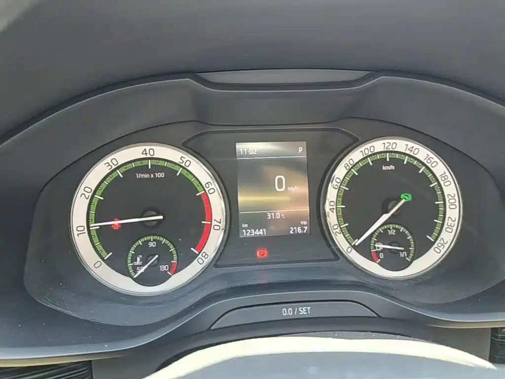 2017 Kodiaq TSI330 7-seater 2WD Luxury Edition — миниатюра 12