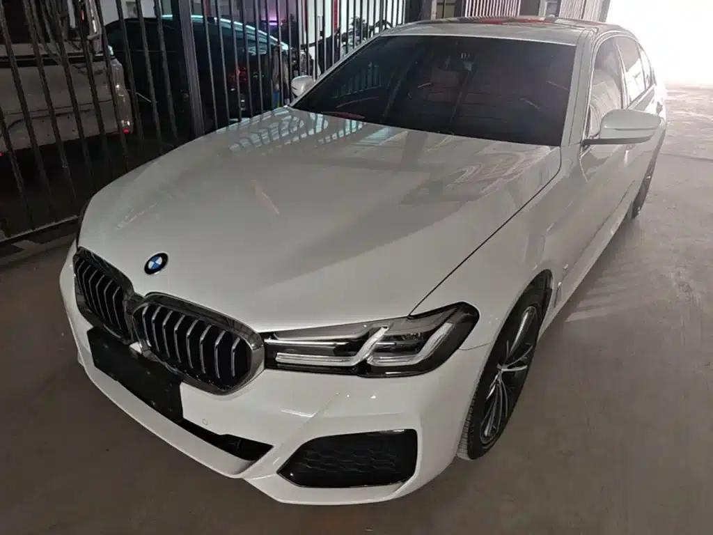 2021 BMW 5 Series 530Li Leading Edition M Sport Package — миниатюра 2