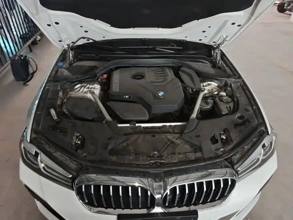 2021 BMW 5 Series 530Li Leading Edition M Sport Package — миниатюра 20