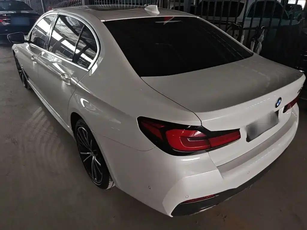2021 BMW 5 Series 530Li Leading Edition M Sport Package — миниатюра 5